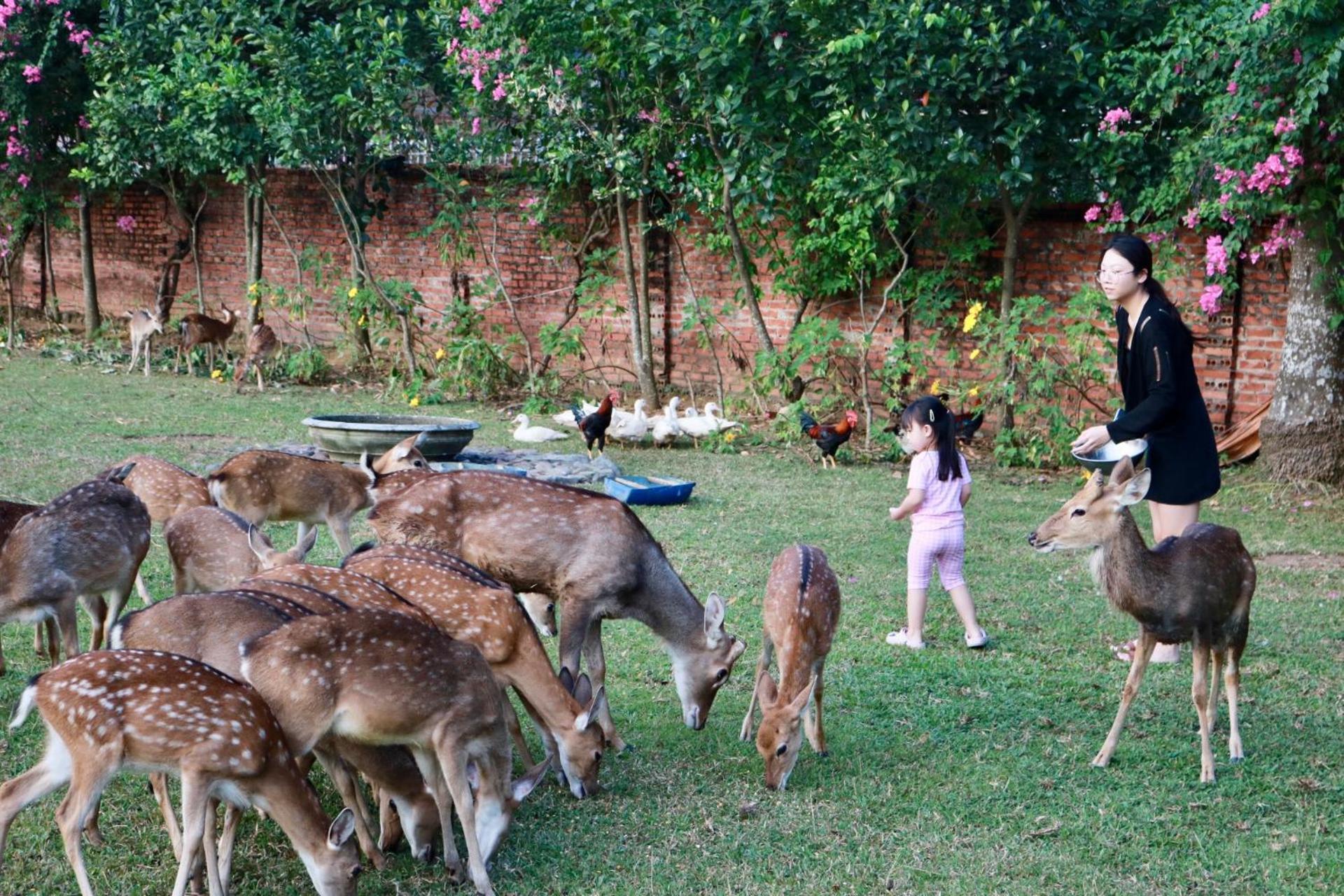 Asean - Shiki Onsen & Hà Nội